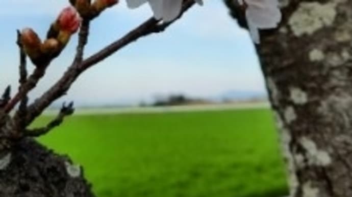◉2025年4月定休日のご案内◉