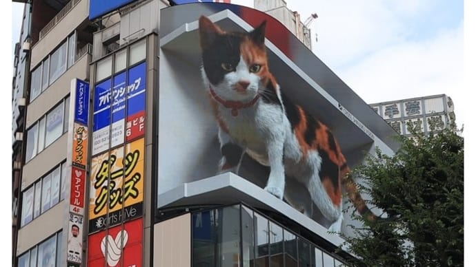 今週結構報じられた新宿駅の巨大三毛猫のニュースで錯覚を利用して〜の巻