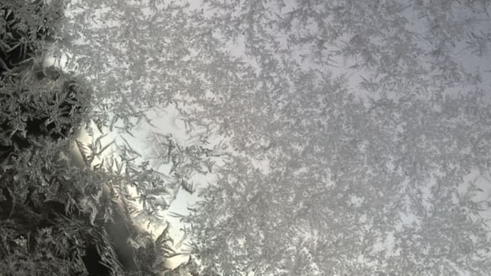 立春の朝 窓霜