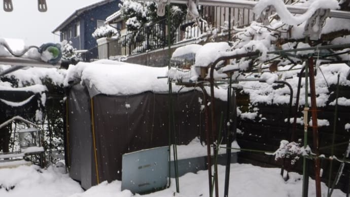 大雪注意報