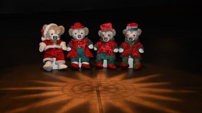 2023.11.8 東京ディズニーシー わず