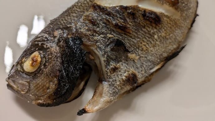ウメイロを食す２