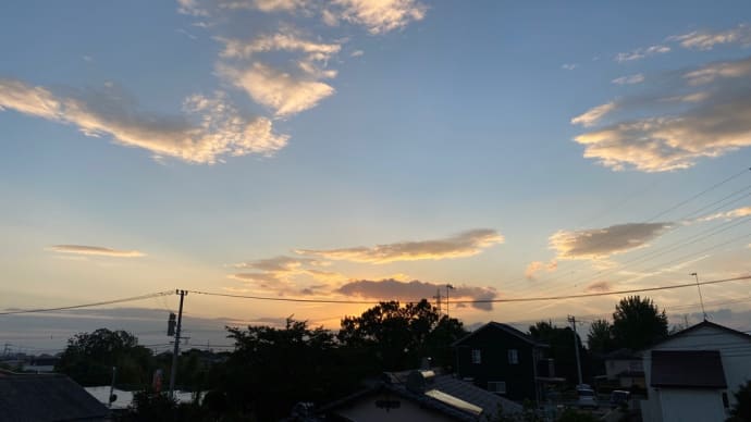今日も楽しんでます