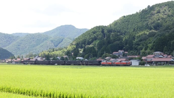 右側から