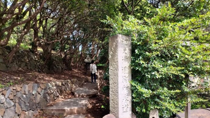 OB会で江之浦測候所へ