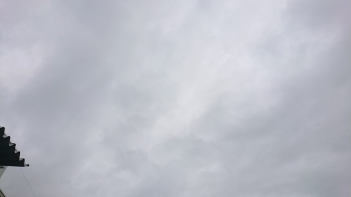 忙しくなりそうな予感
