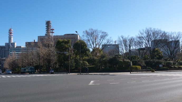 1月の霞が関:国道20号線・国会前交差点~国会正門前~財務省上交差点へ PART2
