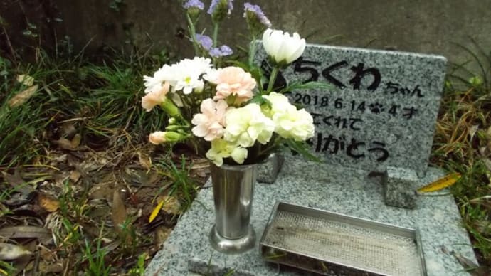 27回目の…。