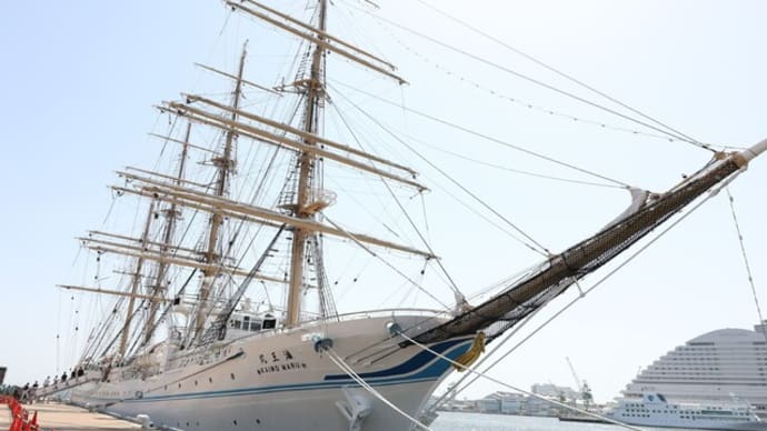 胸ときめいた眩しい「海の貴婦人」との出会い…！