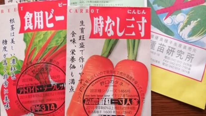 野口の種