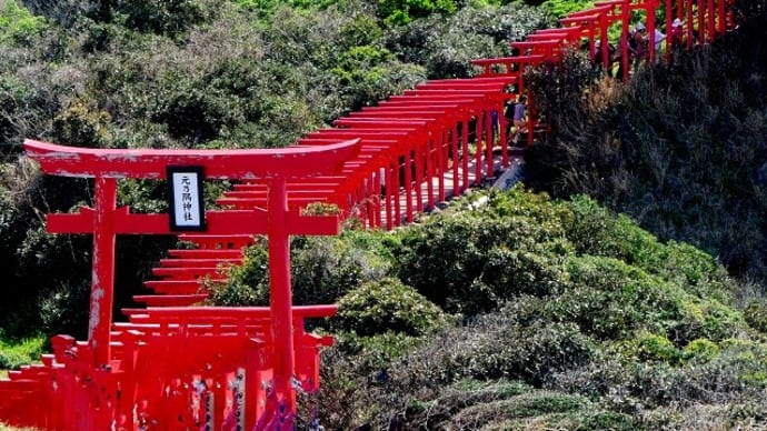 元乃隅神社、朱色の百本鳥居と日本海の岩礁