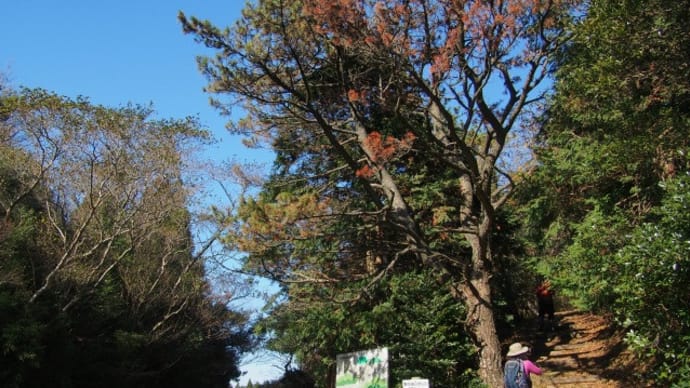 快晴の東鳳翩山