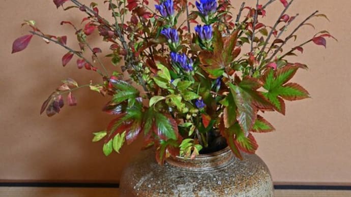 照葉を生ける・其一│花信