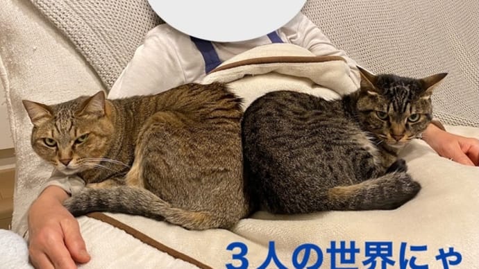 お昼寝3人組