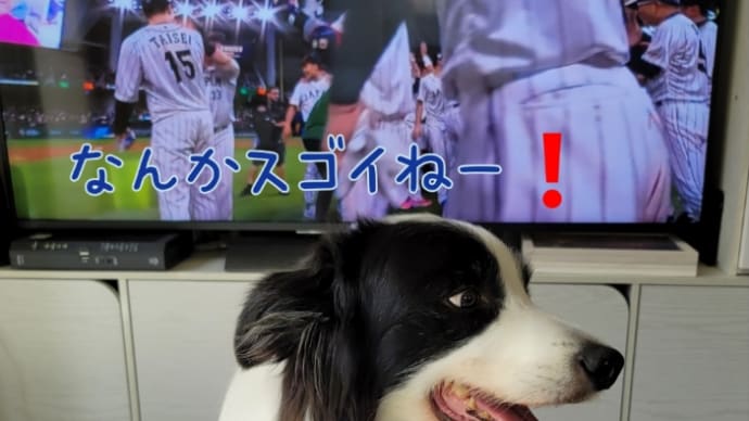 きちんと並ぶ