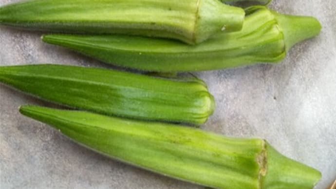 夏野菜が美味しいですね～！　　国道413号直売所で　　北丹沢の麓