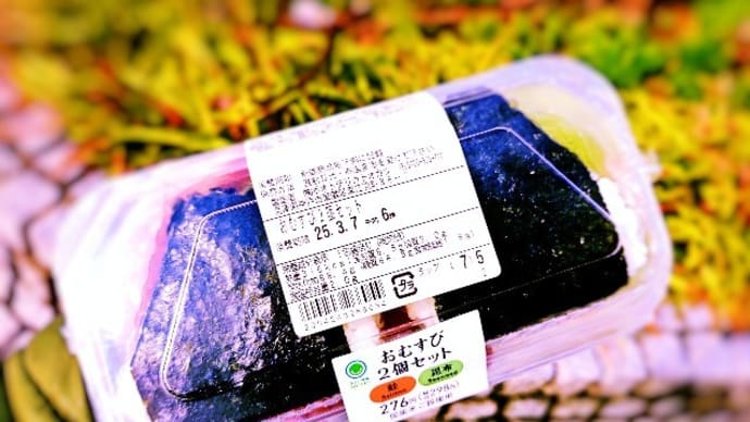 天保山岸壁へ→7万トンのクルーズ客船「ノルウェージャン・スカイ」号を眺める