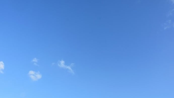 その数 142