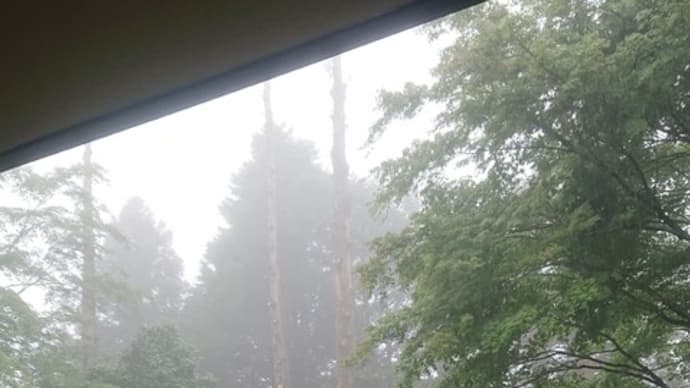 霧がかっております・・・