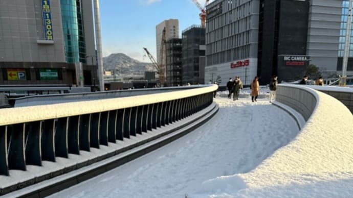 広島市は銀世界・・・昨晩から降り始めた雪 朝、目覚めると雪が積もっていました