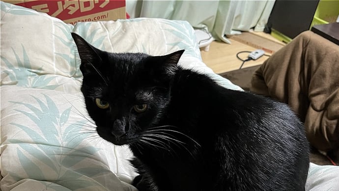 バタバタな一日