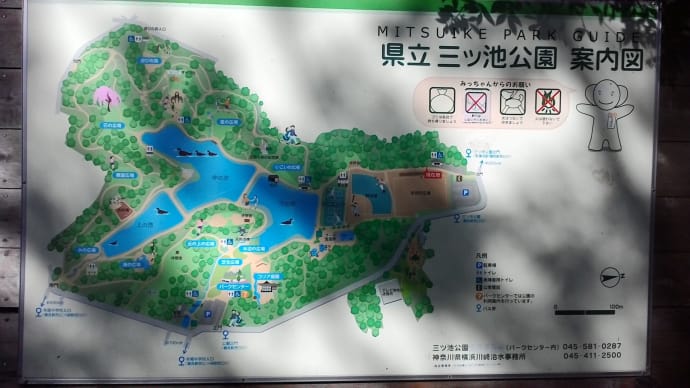 横浜市・秋景の三ツ池公園を歩く