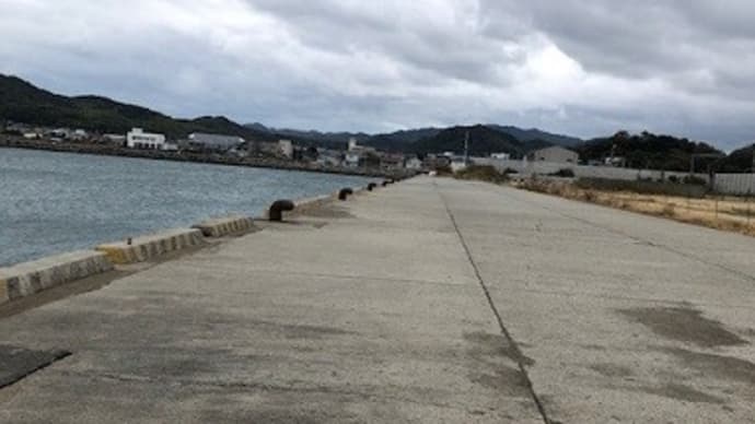 淡路島に釣り遊びに行っていました