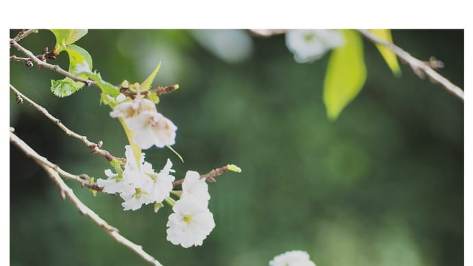 いい天気の一日。