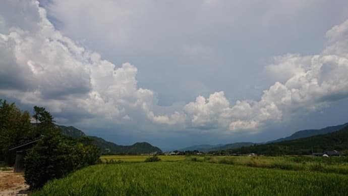 雨雲