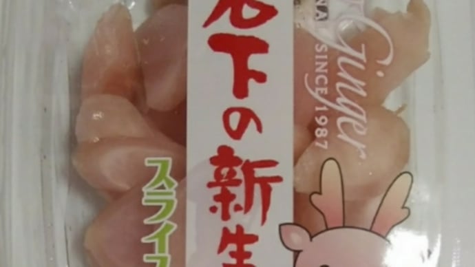「岩〇の新生姜」と今日のエキナセア 20240627