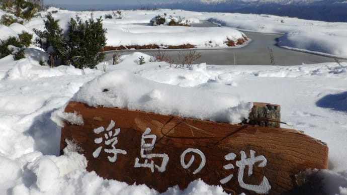 初冬の白木峰に