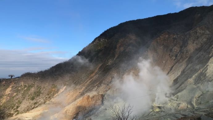 【箱根】大涌谷と仙石原すすき草原