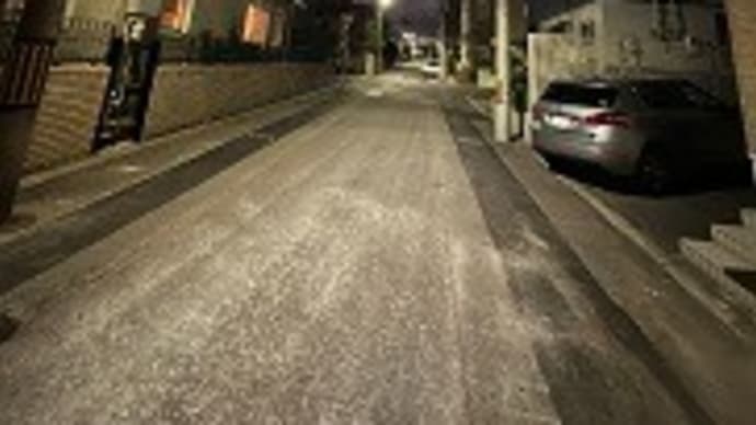 鈴懸の並木路。