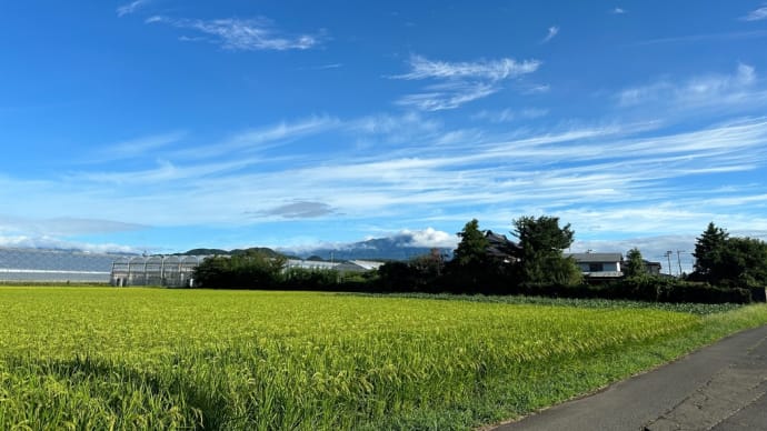 たまくさ 応援