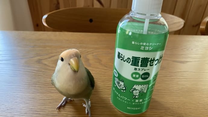 重曹せっけん泡スプレー/とん平焼き/シンプソンズの1994年放送の予言