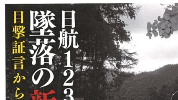 日航123便 墜落の新事実 青山透子(元日本航空客室乗務員)