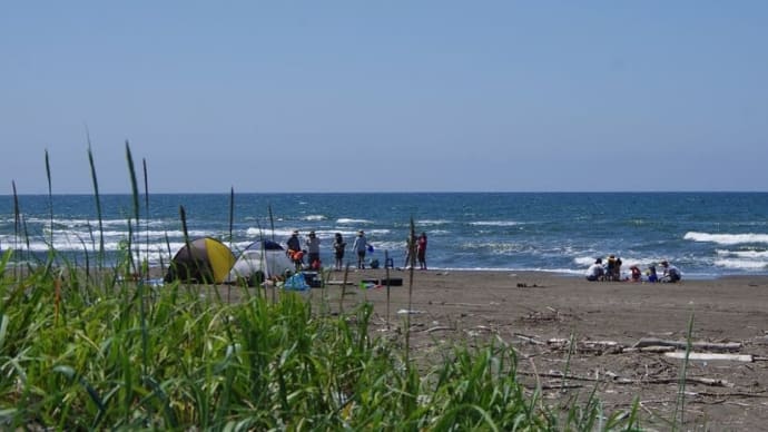 今年も、はじめての海遊び、元気に開催できました!