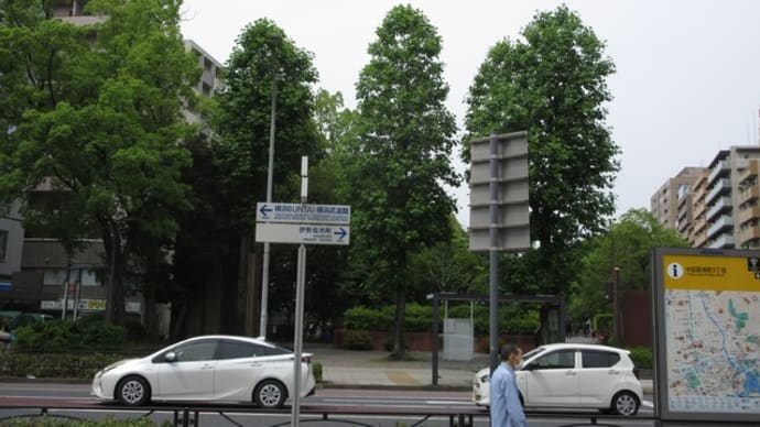 大通公園を突っ切ってクリニックへと