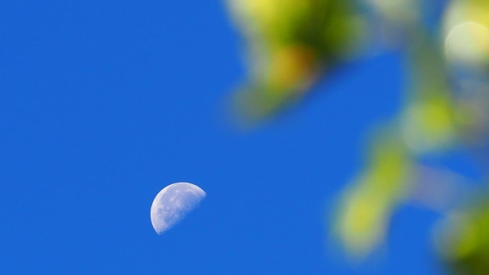 天高し…by空倶楽部