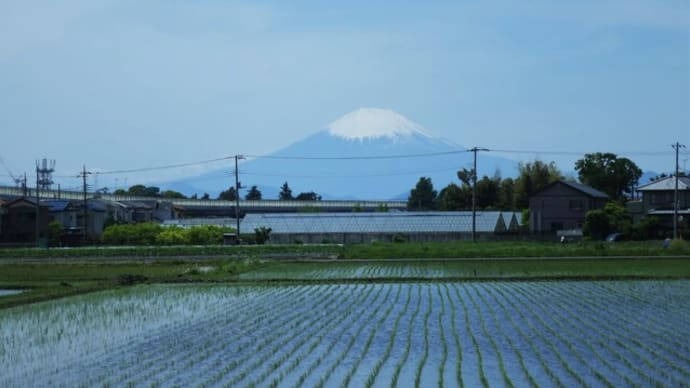 富士見ポタリング~境川・湘南海岸サイクリングロード