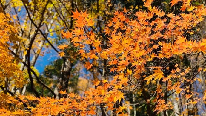 新作『山城の弓張月』第壱話:暁の侍