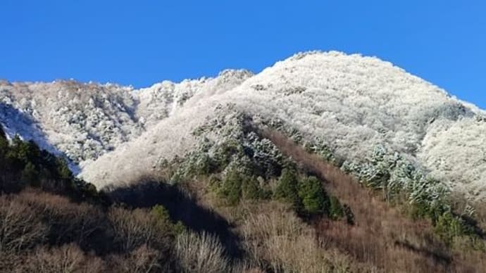 粉砂糖のような雪