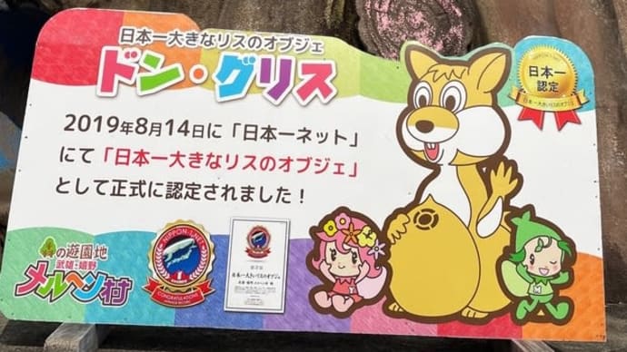 呼子へ行くも釣りせず退散 翌日はドングリスに会いに行きました