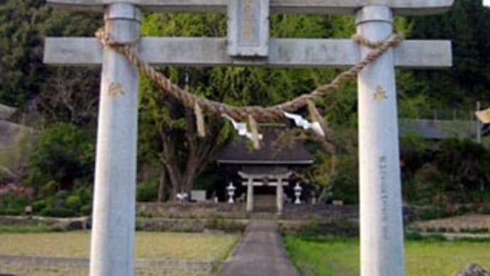 お気に入り・・・・