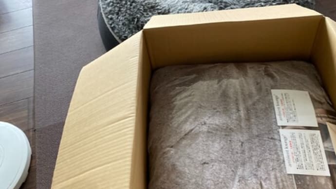 また、ベッド来た~!の巻