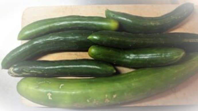 ご近所さんからたくさんいただいた野菜がおいしかった話からつながる物語1