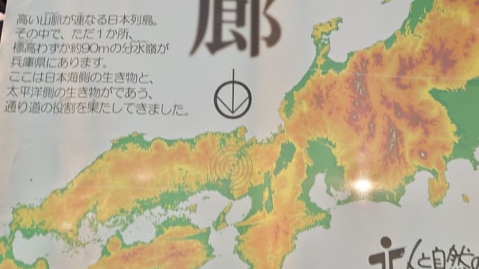 氷上回廊の本州一低い分水界
