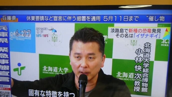 淡路島で新種の恐竜化石 「ヤマトサウルス・イザナギイ」と命名