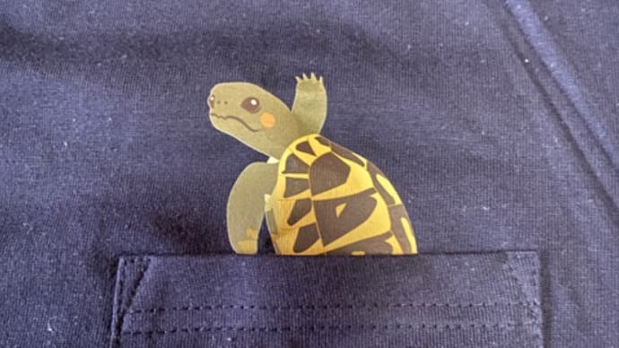 2025カメDEショー🐢in名古屋♪みのじさんd(^_^o)