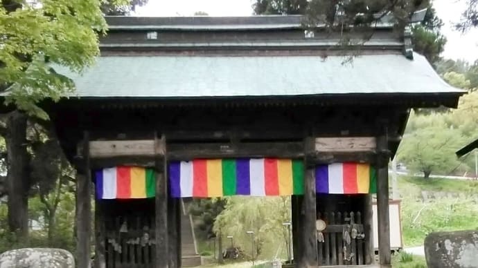 御開帳 長谷寺さんへ 回向柱に触れて参拝しました✨